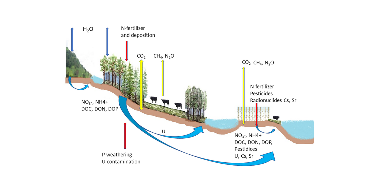 System Ecology Terrestrial Ecosystem Modelling University of Gothenburg
